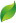 Xquisite Leaf