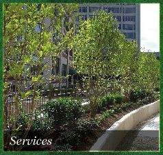 Services