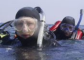 scuba image